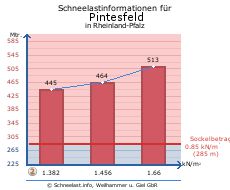 Pintesfeld